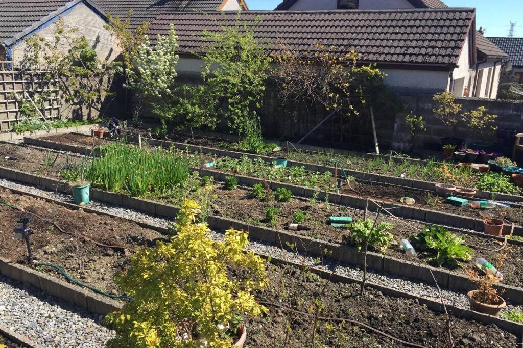 Appartement The Annex Keith Self Catering Wifi Private Parking Bkng Extérieur photo