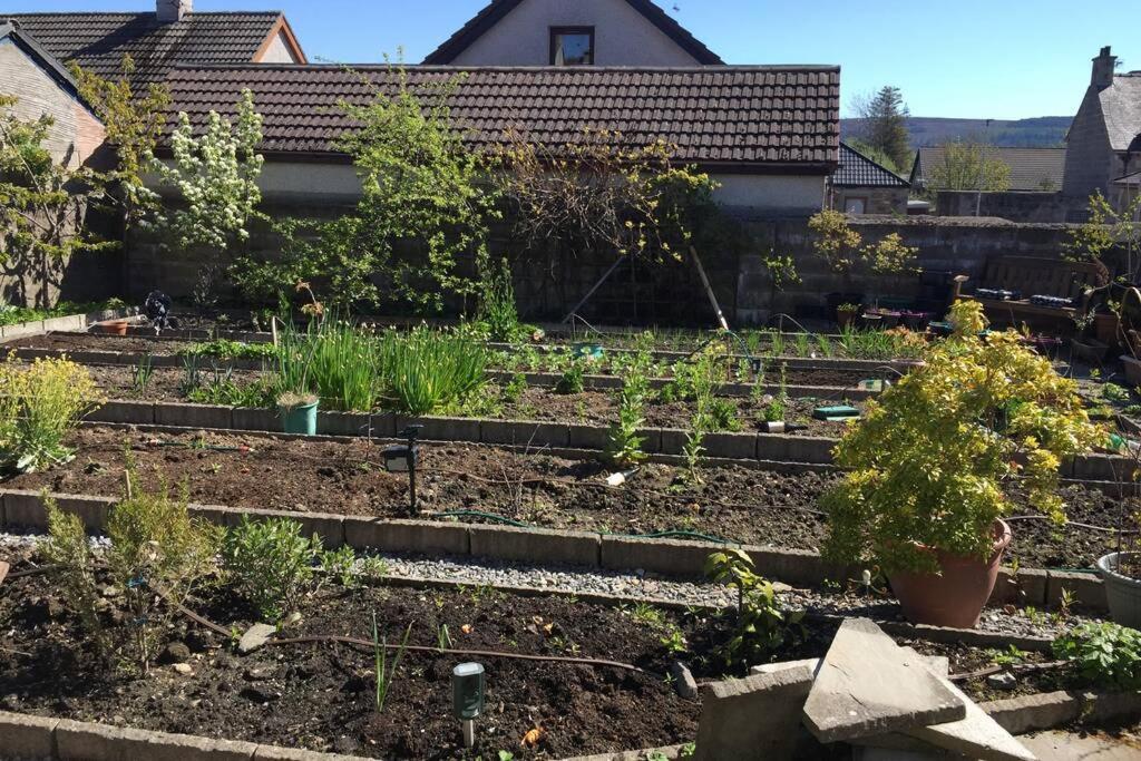 Appartement The Annex Keith Self Catering Wifi Private Parking Bkng Extérieur photo